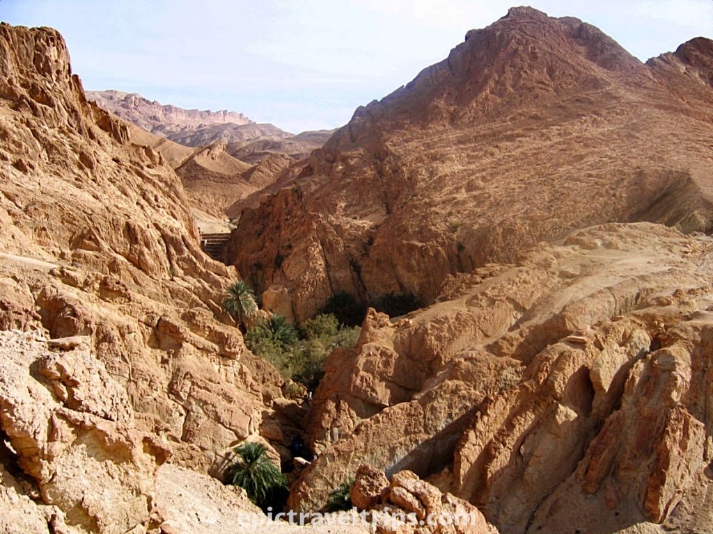 Chebika oasis with red mountains, green palm trees and small gorge to the river and waterfall. Part of our Adventurous Three Days Epic Sahara Tour In Amazing Tunisia With Hidden Gems.
