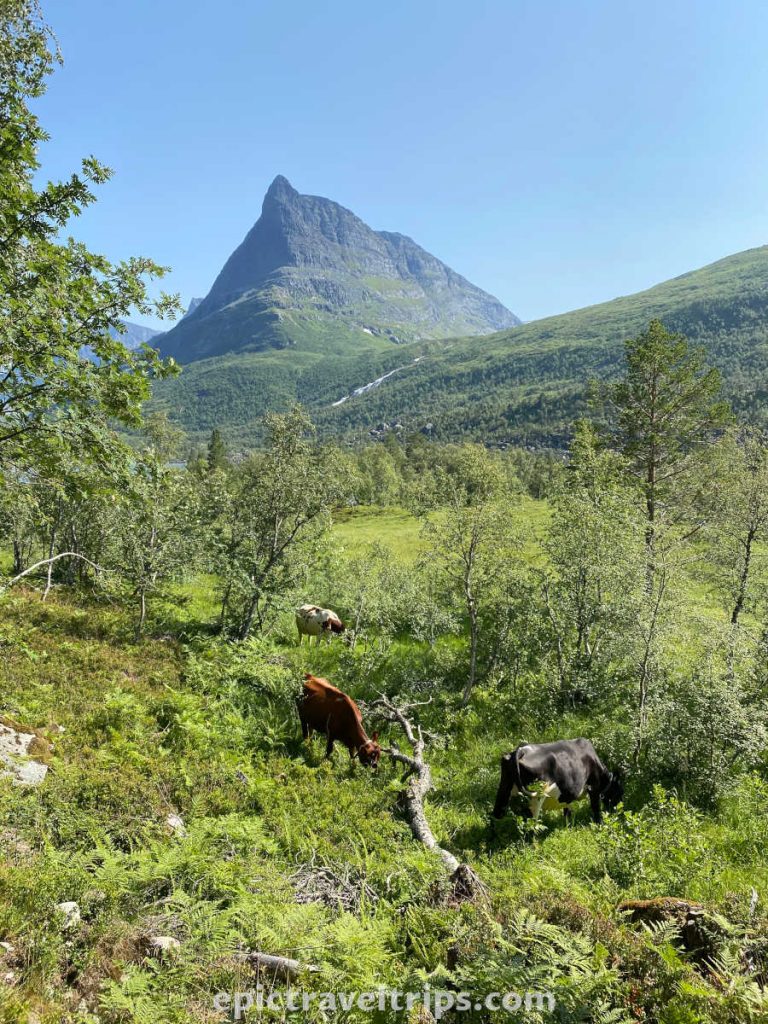 Innerdalen valley and mountains on a sunny day.
