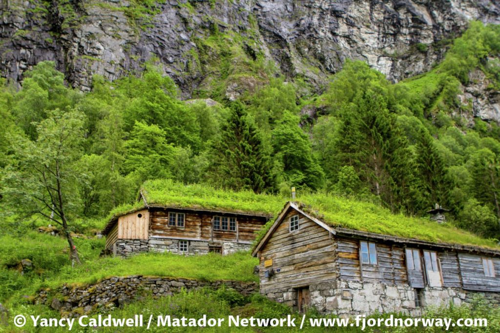 Skageflå mountain farm with grass roofs in Geiranger fjord in Norway.