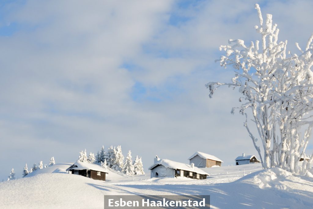 Winter landscape with frozen trees, and wooden houses covered with snow near Lillehammer in Norway.