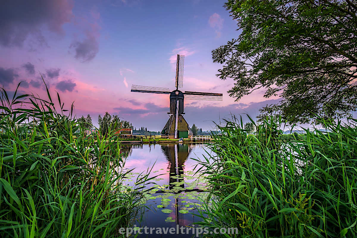 A Picture Perfect Day Trip To The Kinderdijk Windmills From Rotterdam A Picture Perfect Day Trip To The Kinderdijk Windmills From Rotterdam